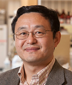 Wei Wang